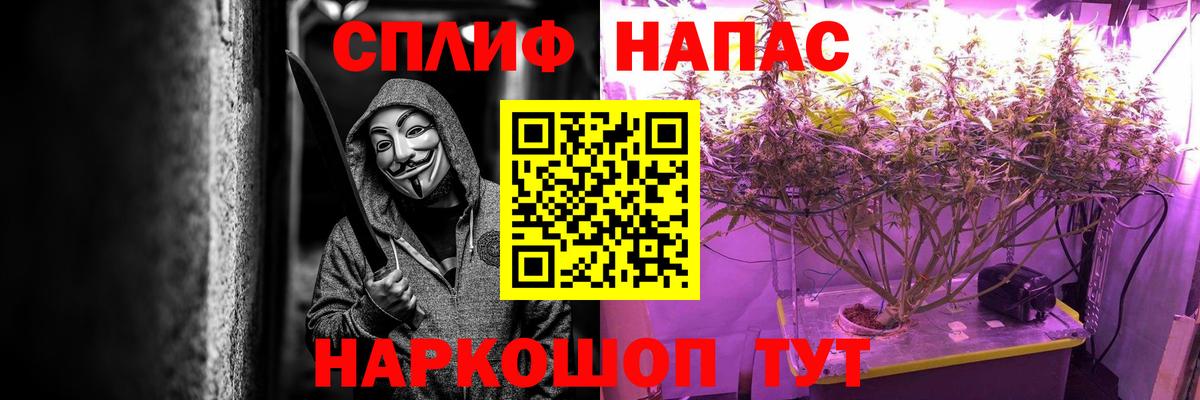 Бошки Шишки марихуана Мценск
